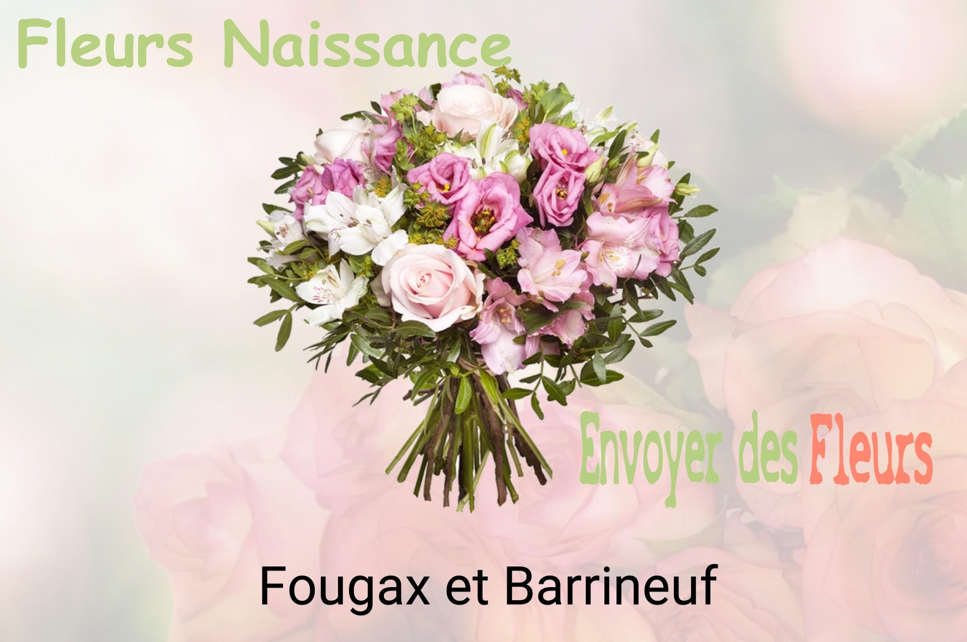 Bouquet de fleurs de naissance livré à Fougax-et-Barrineuf